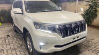 Prado tx 2020/25